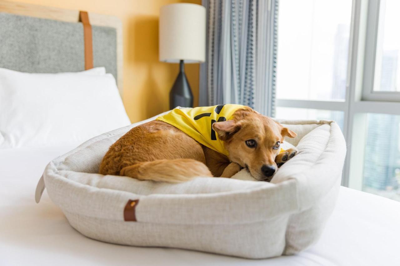 Sentral Michigan Avenue Aparthotel Chicago Exterior photo A dog in a dog bed